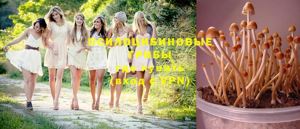 хмурый Покровск