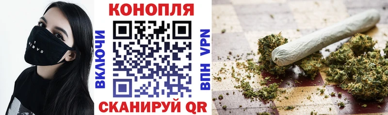 Конопля планчик  Купить где  Тула 